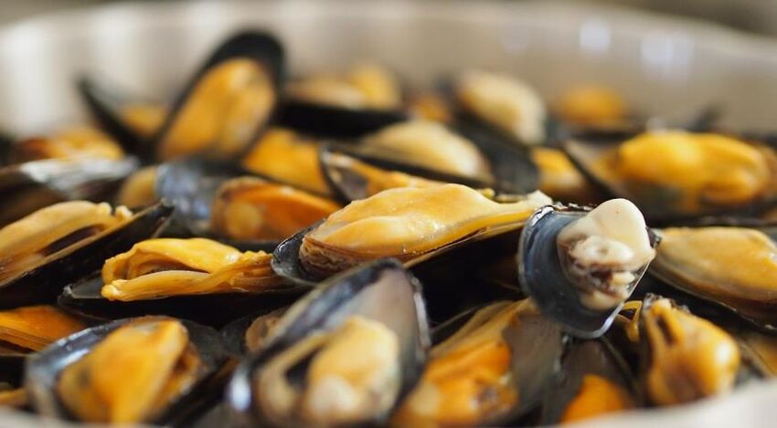 mussels on a protein diet