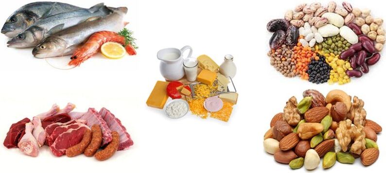 protein products on a protein diet