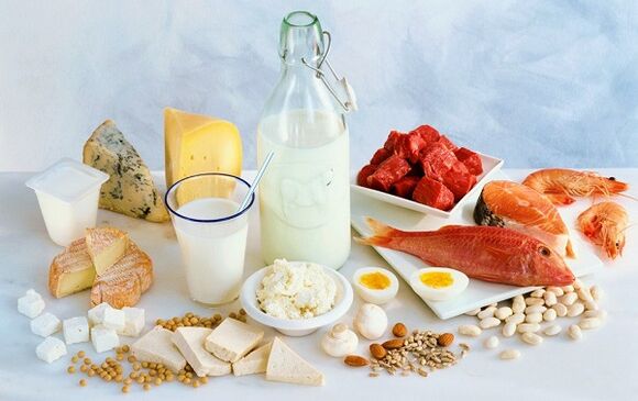 High protein foods for your diet