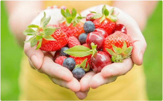 fruits
